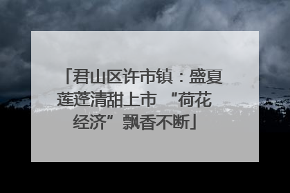 君山区许市镇：盛夏莲蓬清甜上市 “荷花经济”飘香不断